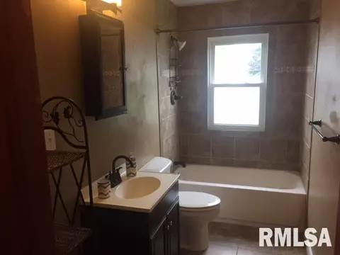 1411 E Chestnut, Canton, IL 61520 photo 11