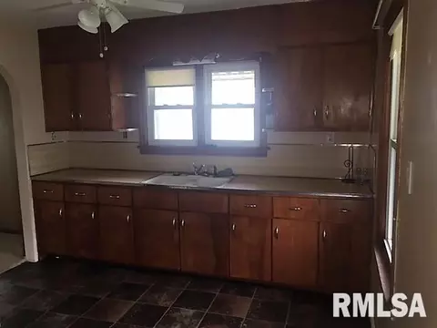 1411 E Chestnut, Canton, IL 61520 photo 5