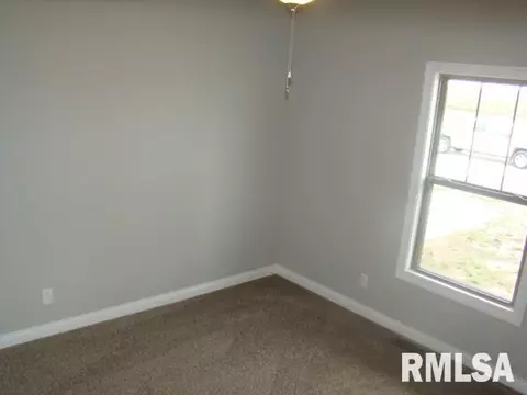 2121 Lexi Dr, Eureka, IL 61530 photo 10