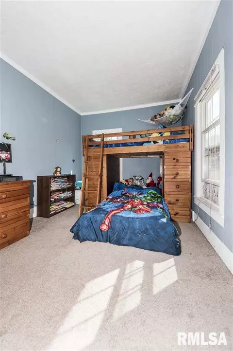 304 E Center St, Eureka, IL 61530 photo 19
