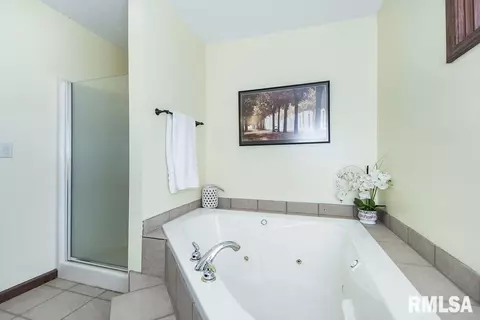 103 Steffen Ct, Congerville, IL 61729 photo 23