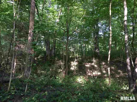 1963 Lowpoint Rd, Lowpoint, IL 61545 photo 22