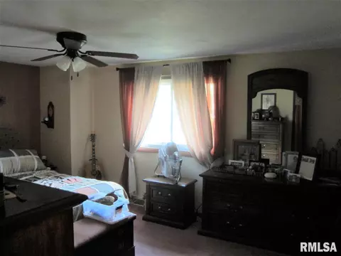 124 E 7th, Dunfermline, IL 61524 photo 19