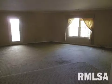 220 N Kickapoo Ter, Peoria, IL 61604 photo 13