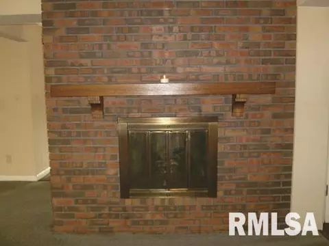 220 N Kickapoo Ter, Peoria, IL 61604 photo 16