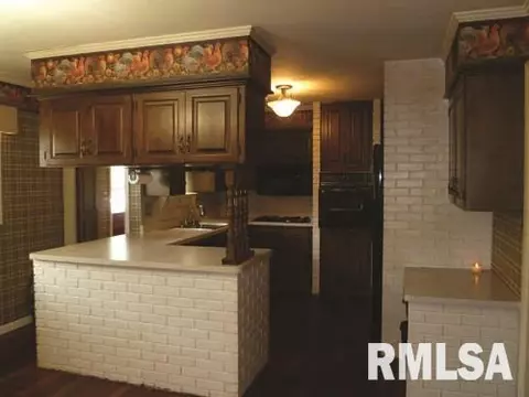 220 N Kickapoo Ter, Peoria, IL 61604 photo 9