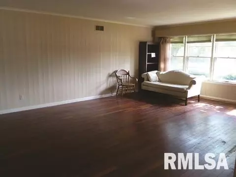 220 N Kickapoo Ter, Peoria, IL 61604 photo 11