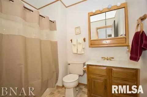 1105 Peppertree Ln, Eureka, IL 61530 photo 10