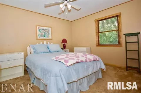 1105 Peppertree Ln, Eureka, IL 61530 photo 8