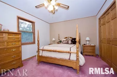 1105 Peppertree Ln, Eureka, IL 61530 photo 9