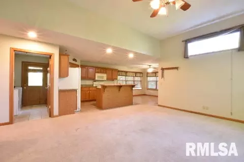 4925 S Lake Camelot, Mapleton, IL 61547 photo 4