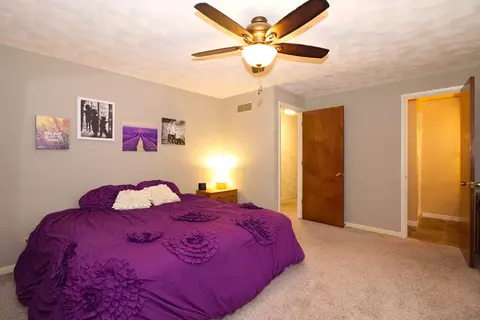 85 Forestview, Morton, IL 61550 photo 32