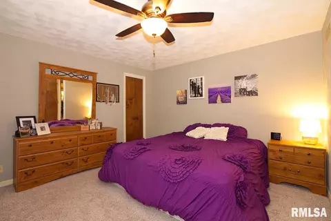 85 Forestview, Morton, IL 61550 photo 33