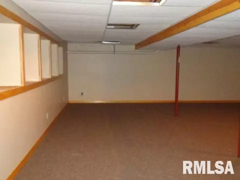 4 Erin Dr, Cherry, IL 61317 photo 22