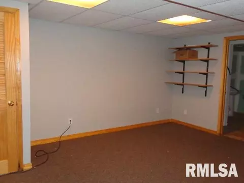4 Erin Dr, Cherry, IL 61317 photo 21
