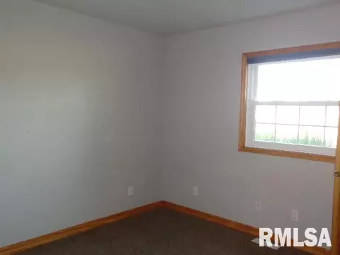 4 Erin Dr, Cherry, IL 61317 photo 19