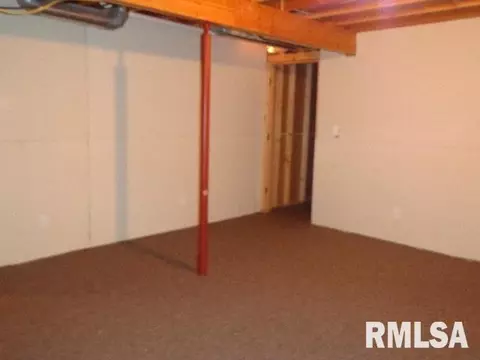 4 Erin Dr, Cherry, IL 61317 photo 24