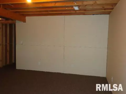 4 Erin Dr, Cherry, IL 61317 photo 25
