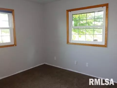 4 Erin Dr, Cherry, IL 61317 photo 17
