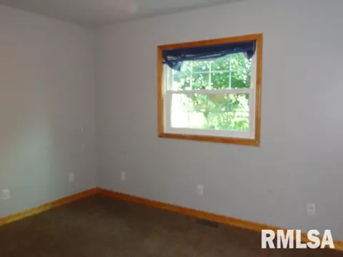 4 Erin Dr, Cherry, IL 61317 photo 14