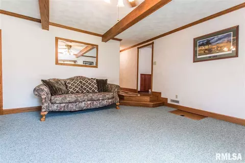 607 E Sheridan St, Manito, IL 61546 photo 24