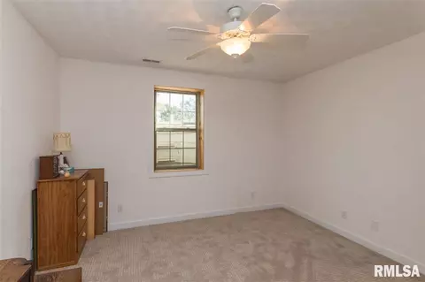 30010 E Manito Rd, Manito, IL 61546 photo 29
