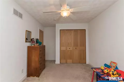 30010 E Manito Rd, Manito, IL 61546 photo 16