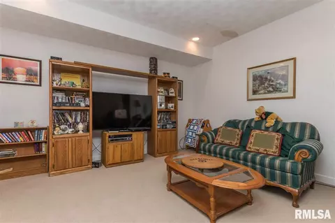 30010 E Manito Rd, Manito, IL 61546 photo 23