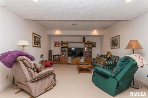 30010 E Manito Rd, Manito, IL 61546 photo 22