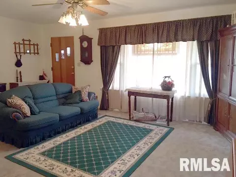 335 E Myrtle St, Canton, IL 61520 photo 2