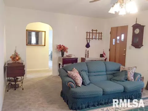 335 E Myrtle St, Canton, IL 61520 photo 3