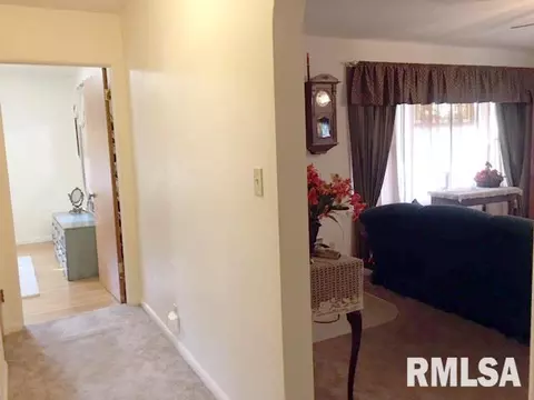335 E Myrtle St, Canton, IL 61520 photo 4