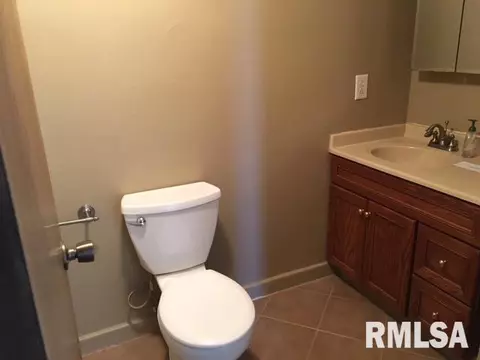 9435 W Guinivere Ct, Mapleton, IL 61547 photo 28