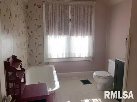 413 Baxter Ct, Canton, IL 61520 photo 21