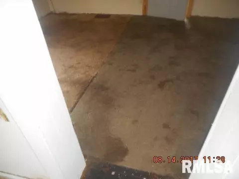 817 E Spruce St, Canton, IL 61520 photo 9