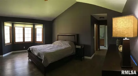 4300 S Newcastle Ct, Mapleton, IL 61547 photo 11