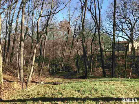 4300 S Newcastle Ct, Mapleton, IL 61547 photo 23