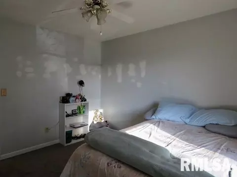 817 Dennis Dr, Eureka, IL 61530 photo 23