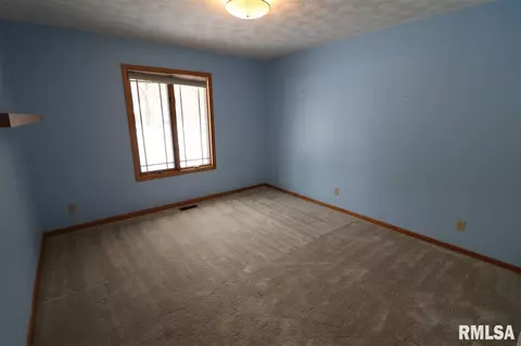 405 E Swords Dr, Edelstein, IL 61526 photo 17