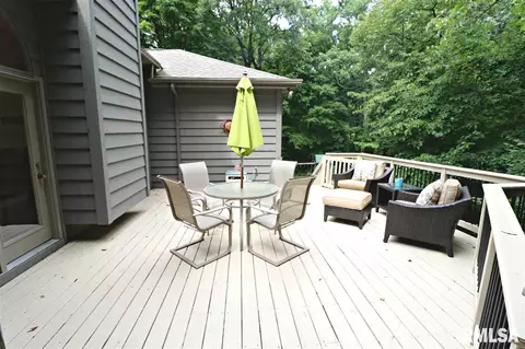 405 E Swords Dr, Edelstein, IL 61526 photo 24