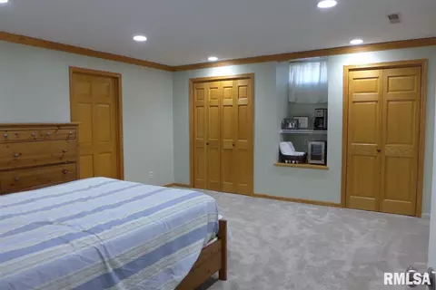903 W Bennett Ct, Dunlap, IL 61525 photo 29