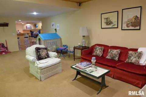 10920 N Trigger Rd, Dunlap, IL 61525 photo 26
