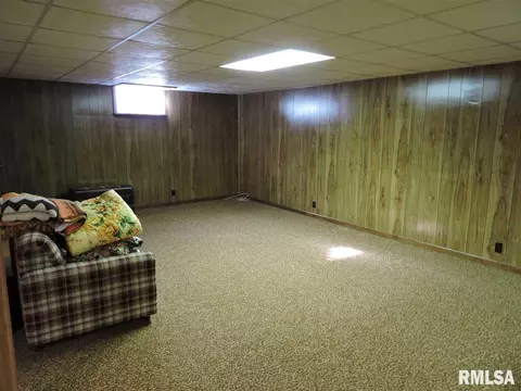 202 Chestnut St, Varna, IL 61375 photo 24