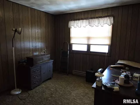 202 Chestnut St, Varna, IL 61375 photo 19