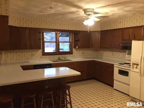 202 Chestnut St, Varna, IL 61375 photo 8
