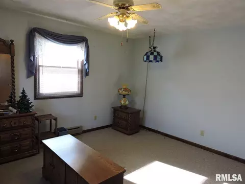 202 Chestnut St, Varna, IL 61375 photo 12