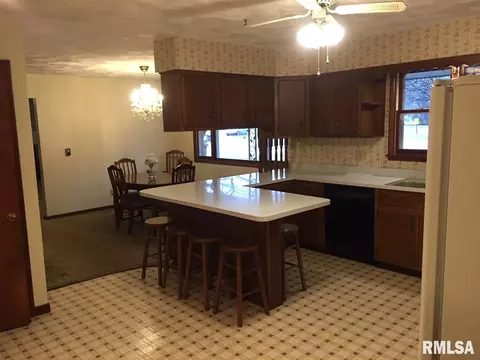 202 Chestnut St, Varna, IL 61375 photo 7