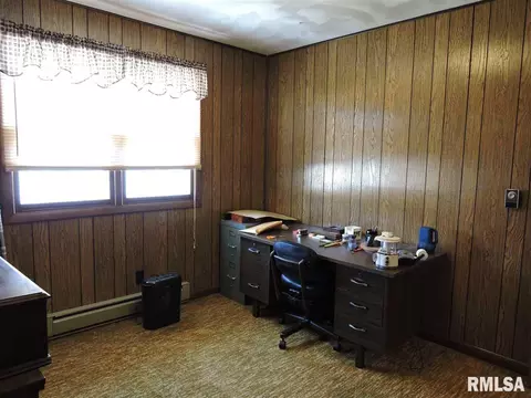 202 Chestnut St, Varna, IL 61375 photo 20