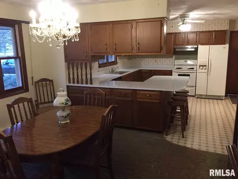 202 Chestnut St, Varna, IL 61375 photo 5