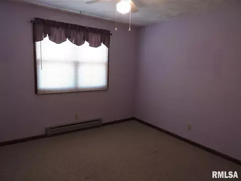 202 Chestnut St, Varna, IL 61375 photo 15